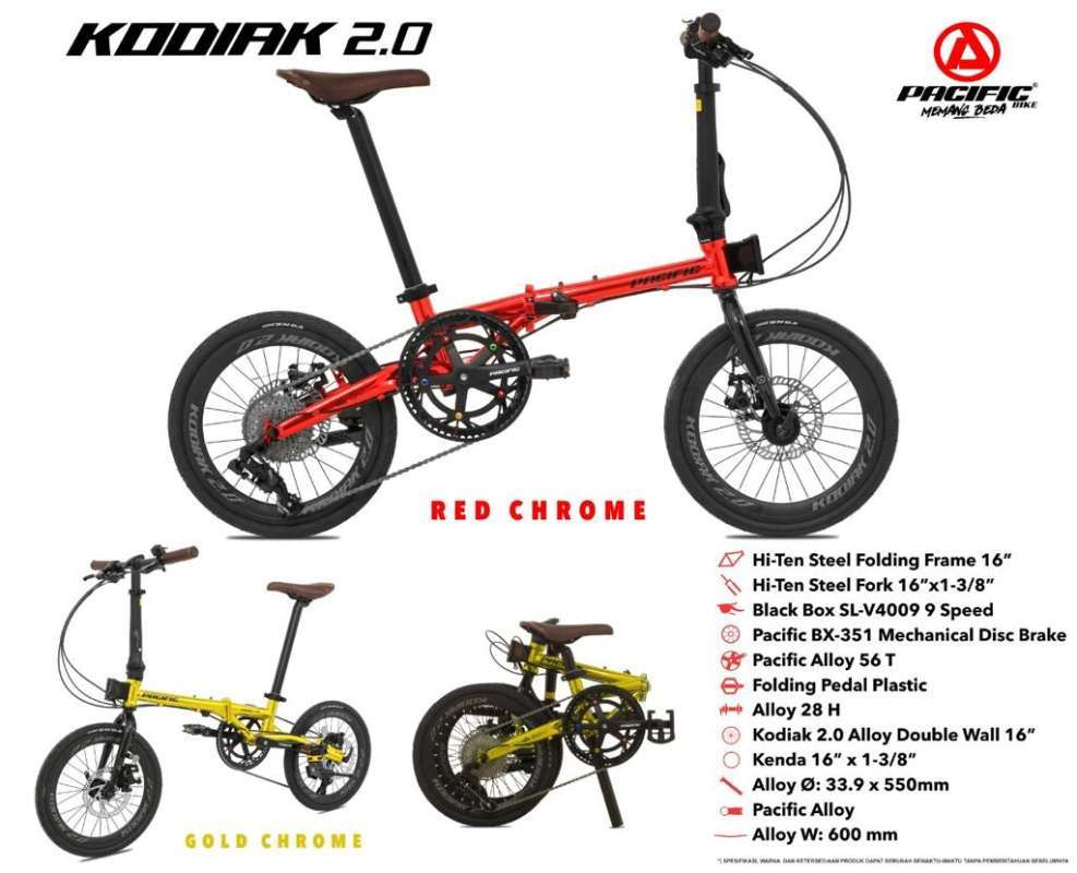 Pacific kodiak mountain bike store
