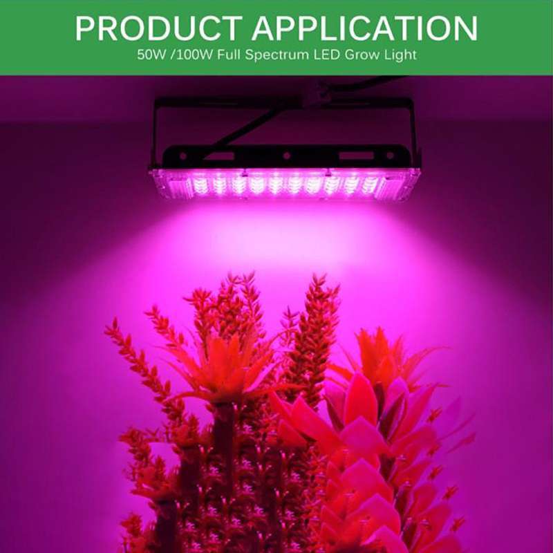100W Full Spectrum LED Grow Light 220V Flood Lamp For Hydroponics Plant Veg Home 