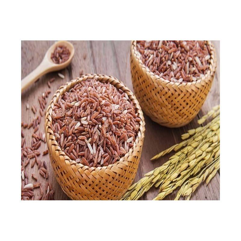 Jual Lestari Beras Merah Organik 5 Kg Online Oktober 2020 Blibli Com