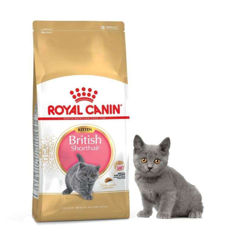 Makanan sales british shorthair