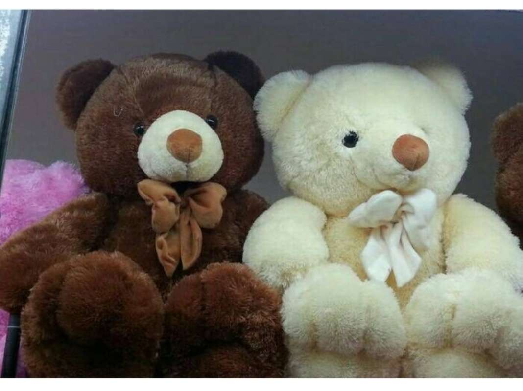bear besar