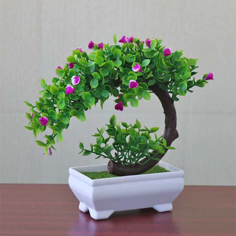 Bonsai Plastik Murah