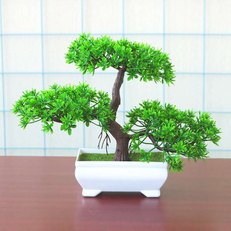 Bonsai Plastik Imut