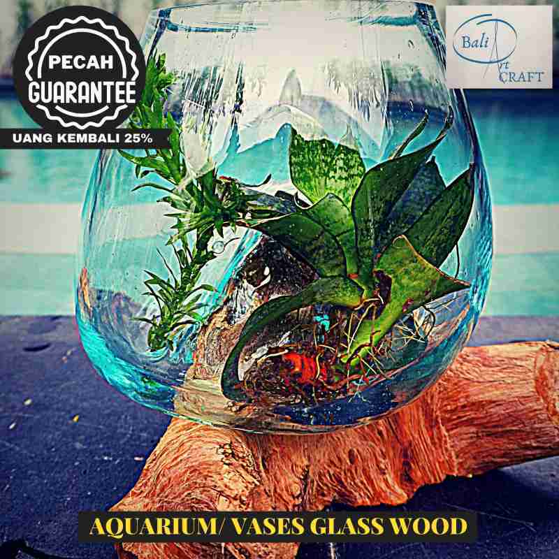Jual Akuarium Ikan Cupang Mini L Kaca Tiup Akar Bali Aquascape Aquarium Unik Glasswood Wooden Craft Ikan Hias Ready Stock Pot Vas 12 Cm Terbaru Juni 2021 Blibli