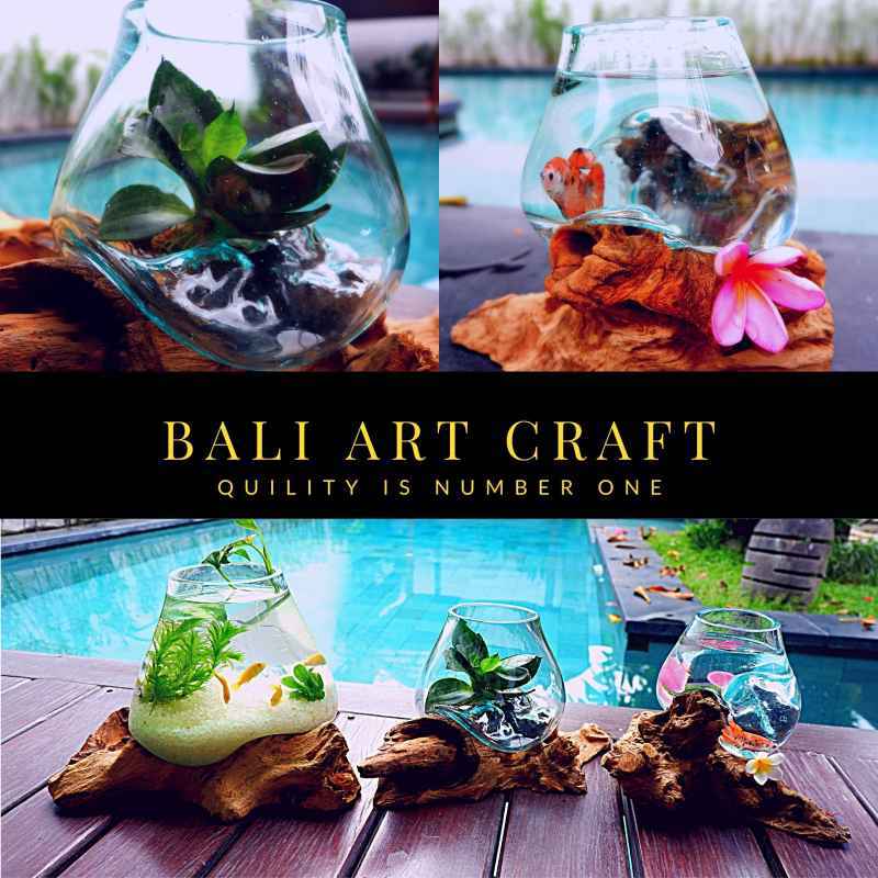 Jual Akuarium Ikan Cupang Mini L Kaca Tiup Akar Bali Aquascape Aquarium Unik Glasswood Wooden Craft Ikan Hias Ready Stock Pot Vas 12 Cm Murah Mei 2021 Blibli