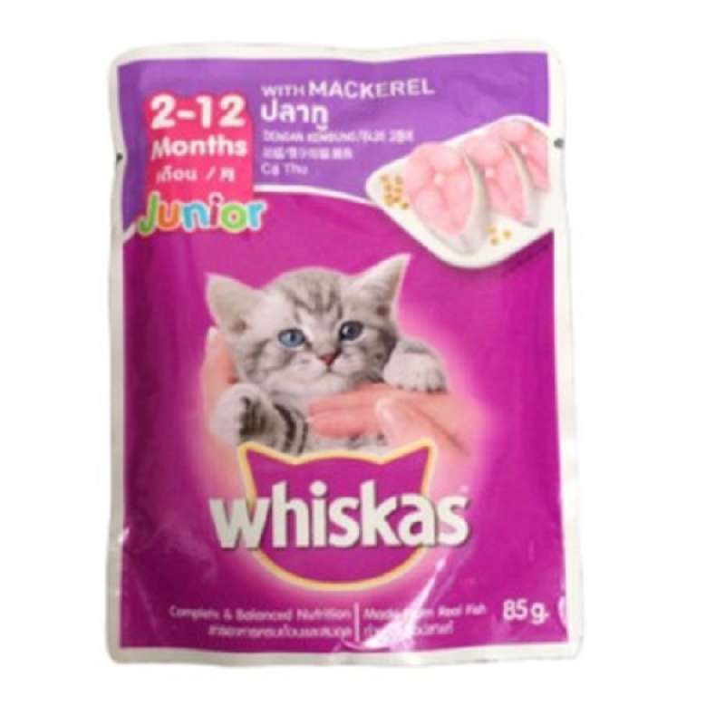 Wet food hot sale kucing whiskas