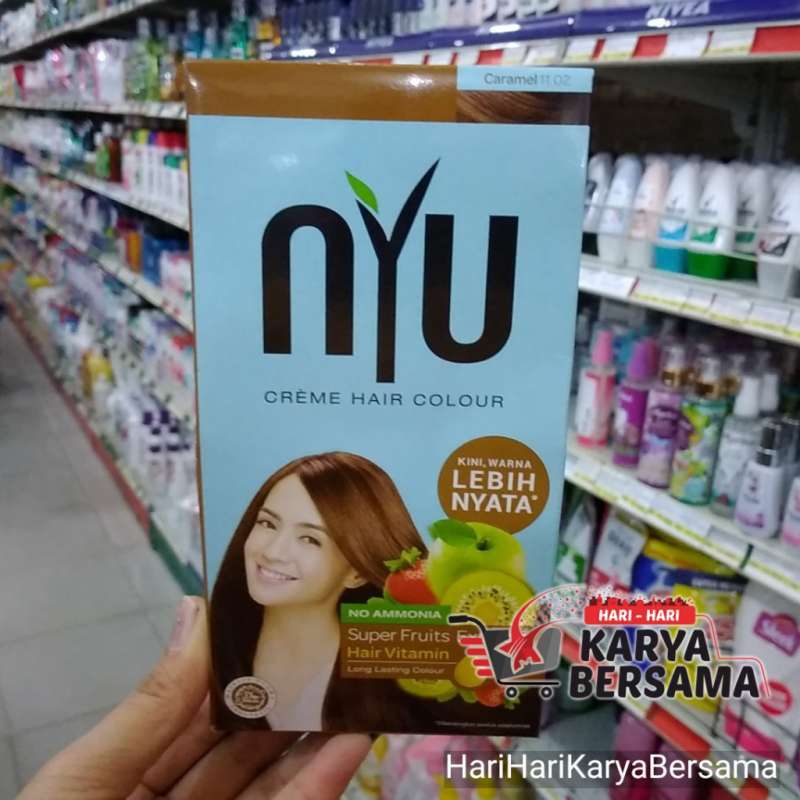 Jual Nyu Creme Hair Colour Caramel 11 02 Pewarna Rambut 30ml Di Seller Hariharikaryabersama Kota Medan Sumatera Utara Blibli