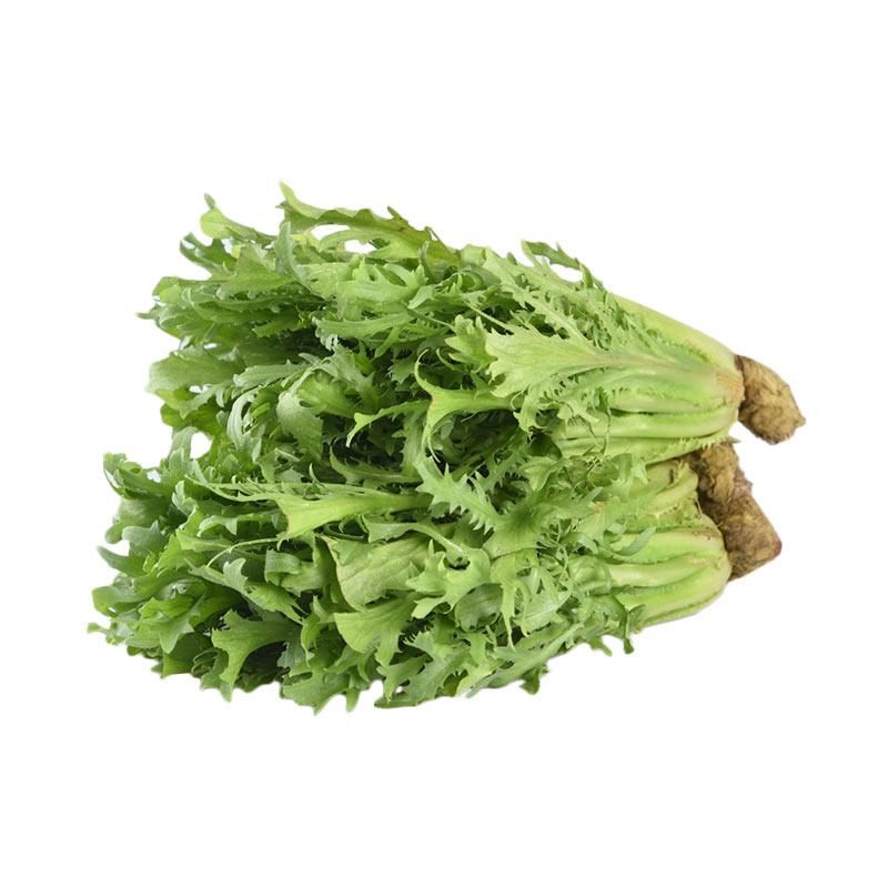Jual Eden Farm Selada Endive Sayuran Hidroponik 250 G Murah