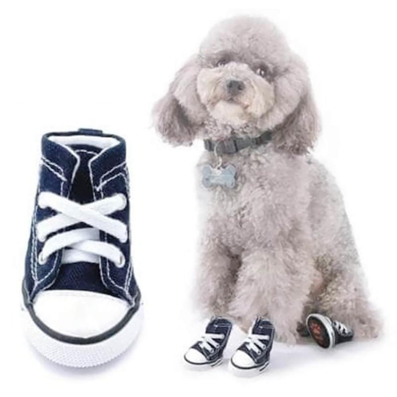 Jual Sepatu Anjing Kucing Online Oktober 2020 Blibli Com