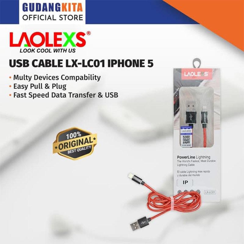 laolexs kabel data for iphone 5