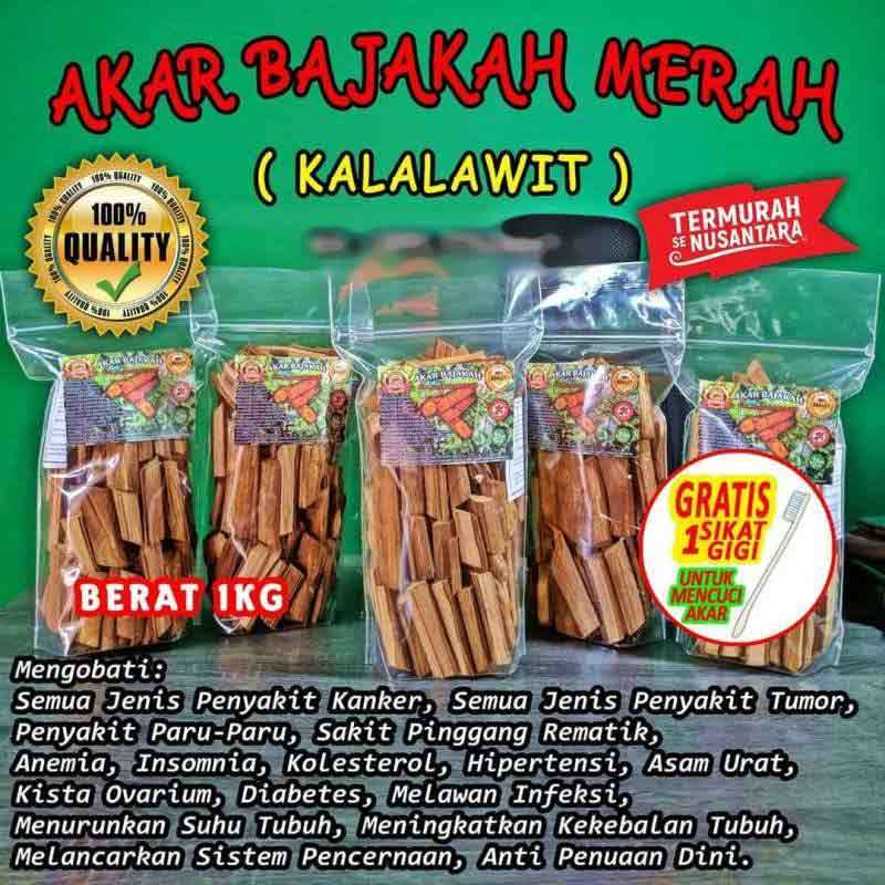 Jual Akar Bajakah Kalalawit Merah Kalimantan Original 1kg Termurah Online Oktober 2020 Blibli Com