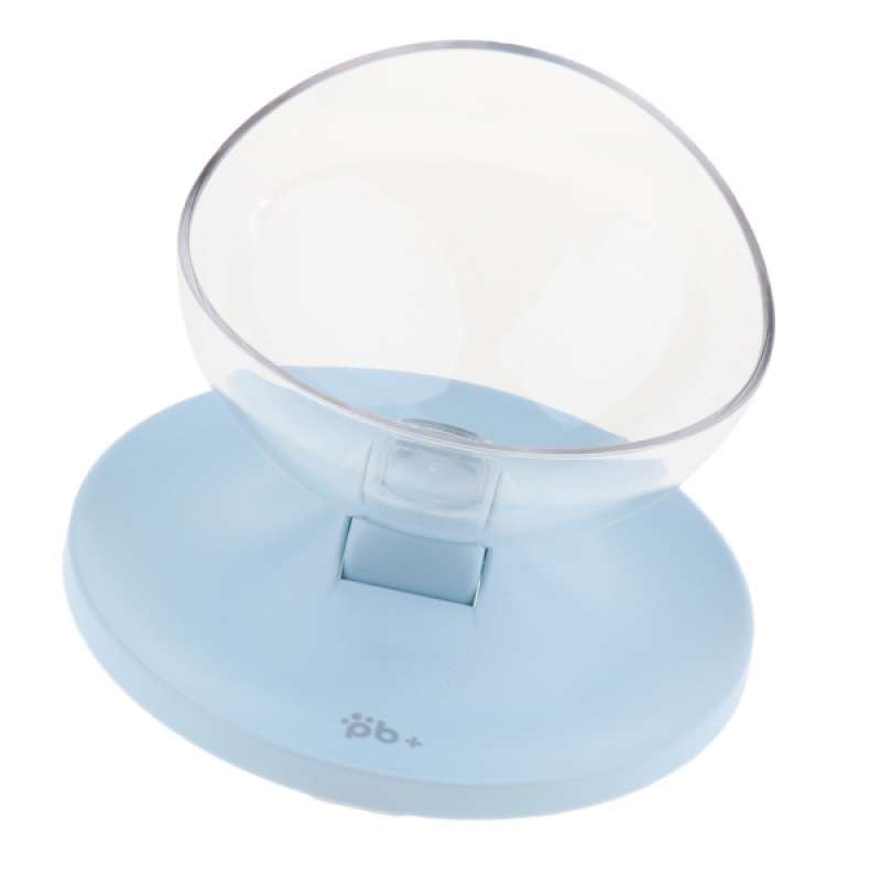 Kitten Food Bowl