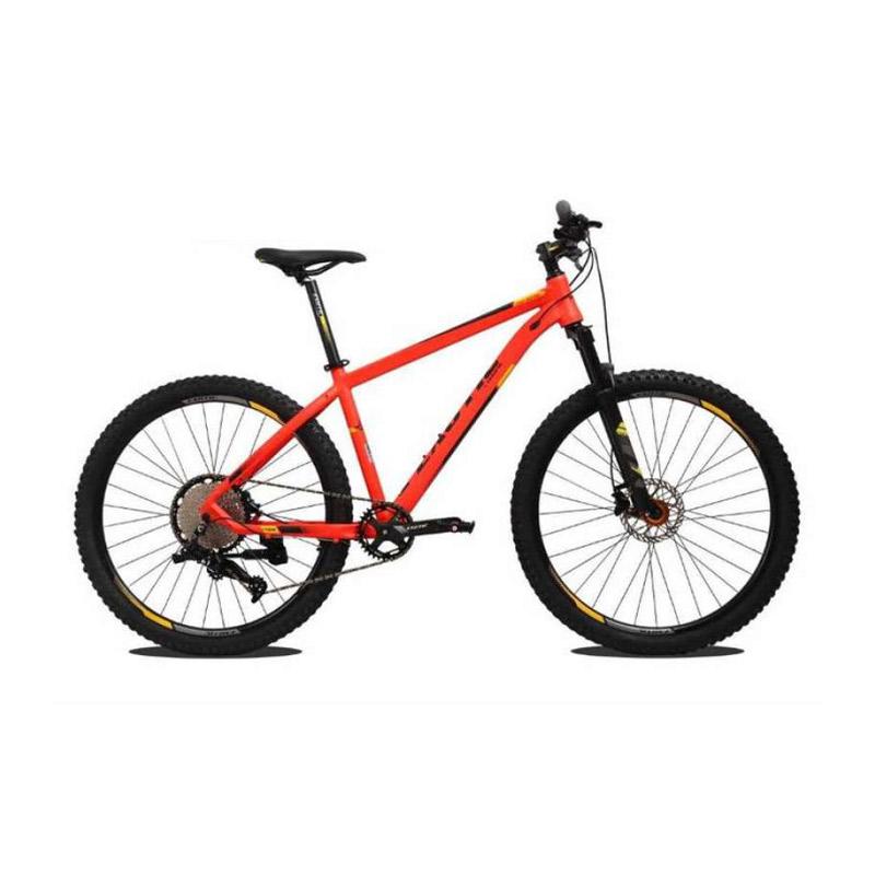 pacific exotic mtb