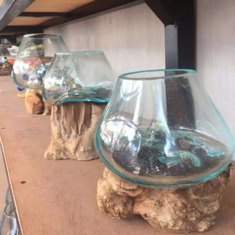 Jual Aquarium Aquascape Terrarium Paludarium Mini Akar Kayu Unik Ikan Akuarium Mini Murah Mei 2021 Blibli