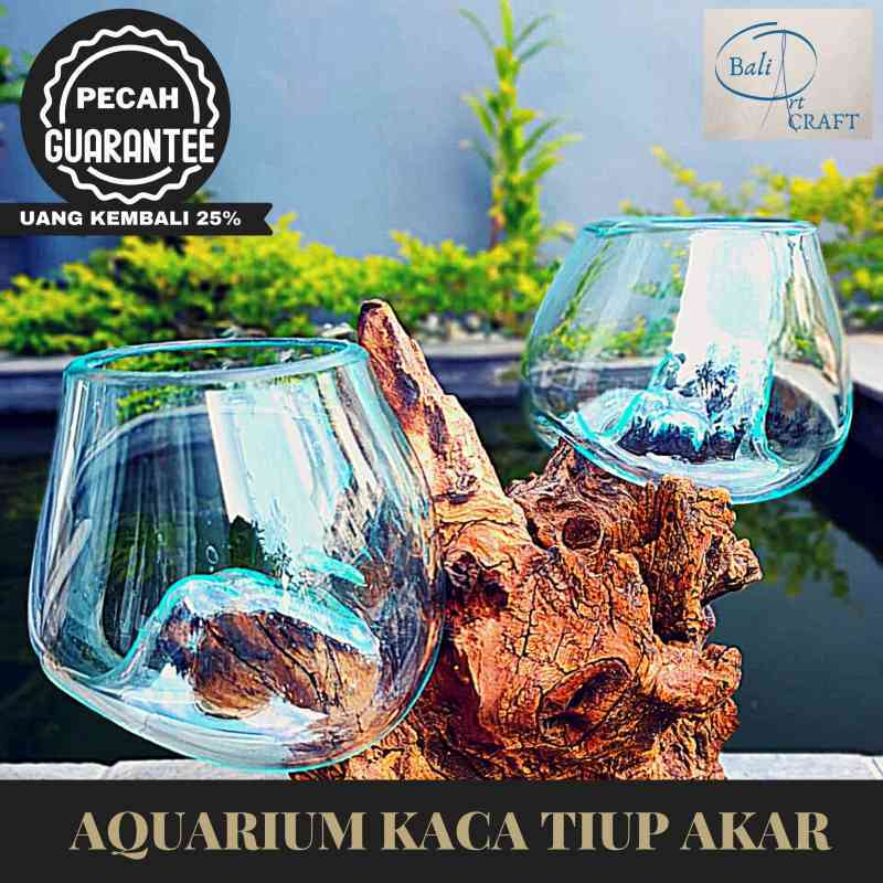 Jual Akuarium Ikan Cupang Mini 2 In One Tingkat Kaca Tiup Akar Bali Aquascape Aquarium Unik Glasswood Ikan Hias Ready Stock Pot Vas Terbaru Juni 2021 Blibli