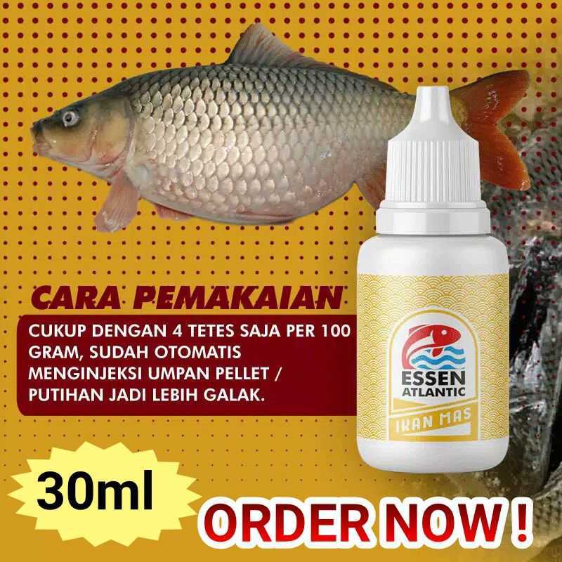 Umpan Mancing Ikan Mas Essen Atlantic Induk Dan Totalan 30ml Terbaru Agustus 2021 Harga Murah Kualitas Terjamin Blibli