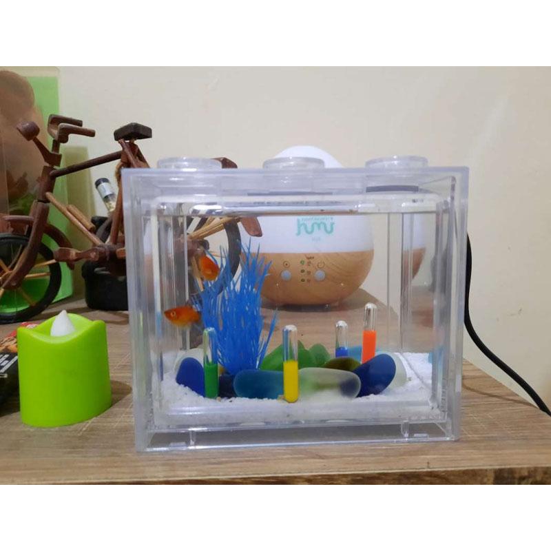 53 Dekorasi Aquarium Dari Toples Terbaik