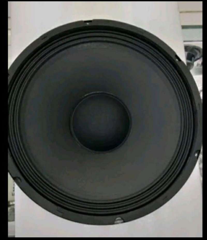 Speaker 12 2024 inch 300 watt