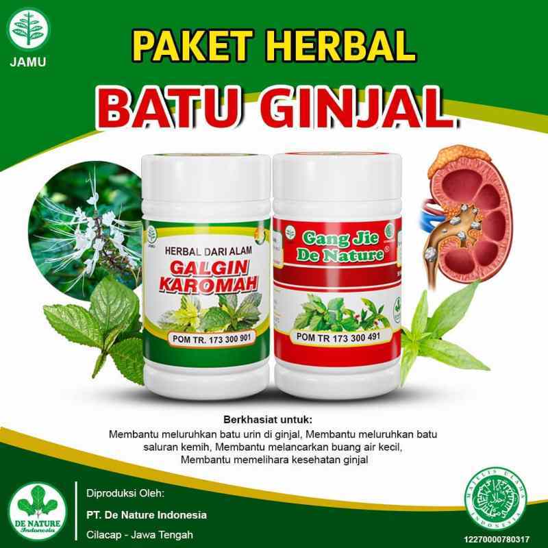 Kapsul Gang Jie Galgin Denature Obat Penghancur Batu Ginjal Batu Empedu Obat Kencing Batu Kencing Sakit Nyeri Isk Anyang Anyangan Beser Terbaru Agustus 2021 Harga Murah Kualitas Terjamin Blibli