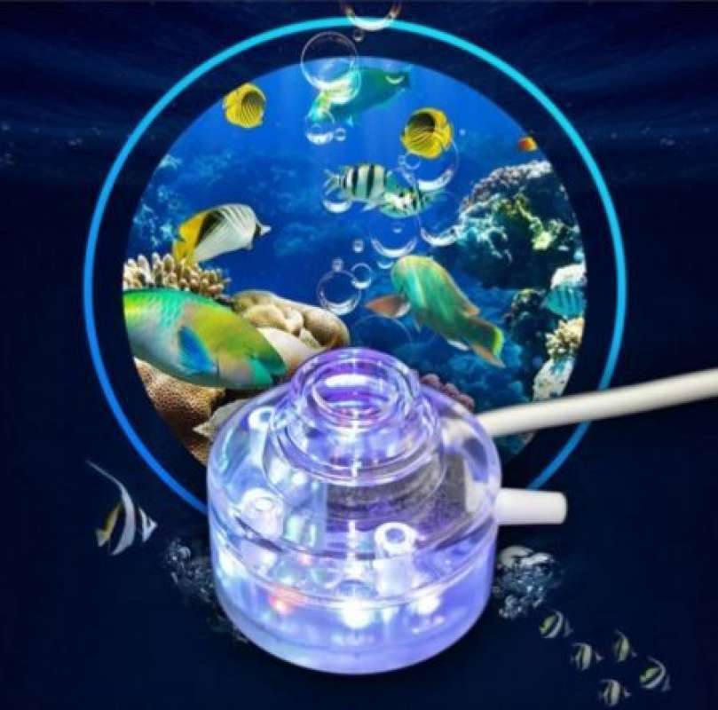 41+ Dekorasi Aquarium Mini Gratis