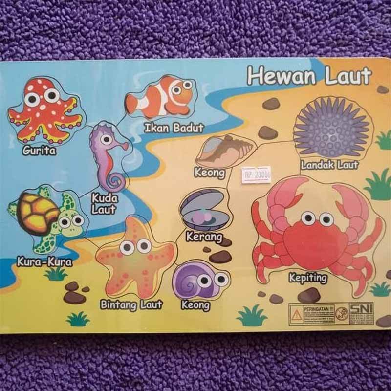 720+ Gambar Hewan Hewan Laut Gratis