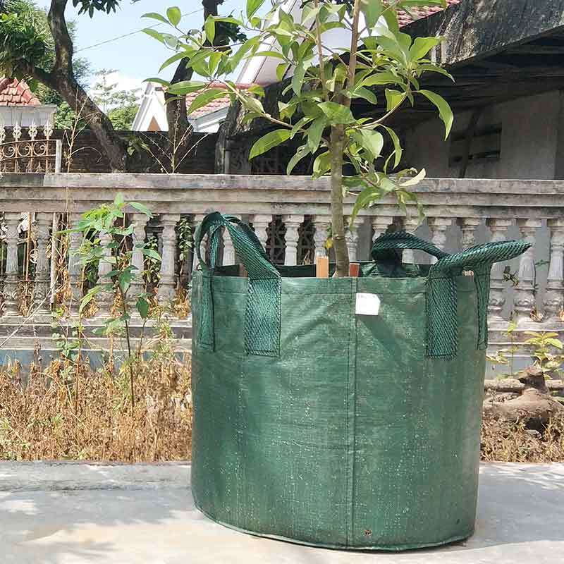 https://www.static-src.com/wcsstore/Indraprastha/images/catalog/full//85/MTA-5102553/surya_guna_planter_bag_tabulampot_planter_bag_durian_200_liter_easy_grow_full05_tt92kyak.jpg