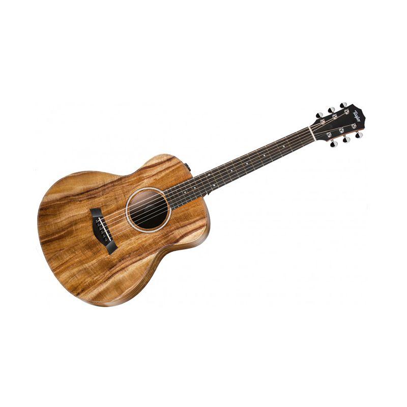 Taylor gs mini on sale harga