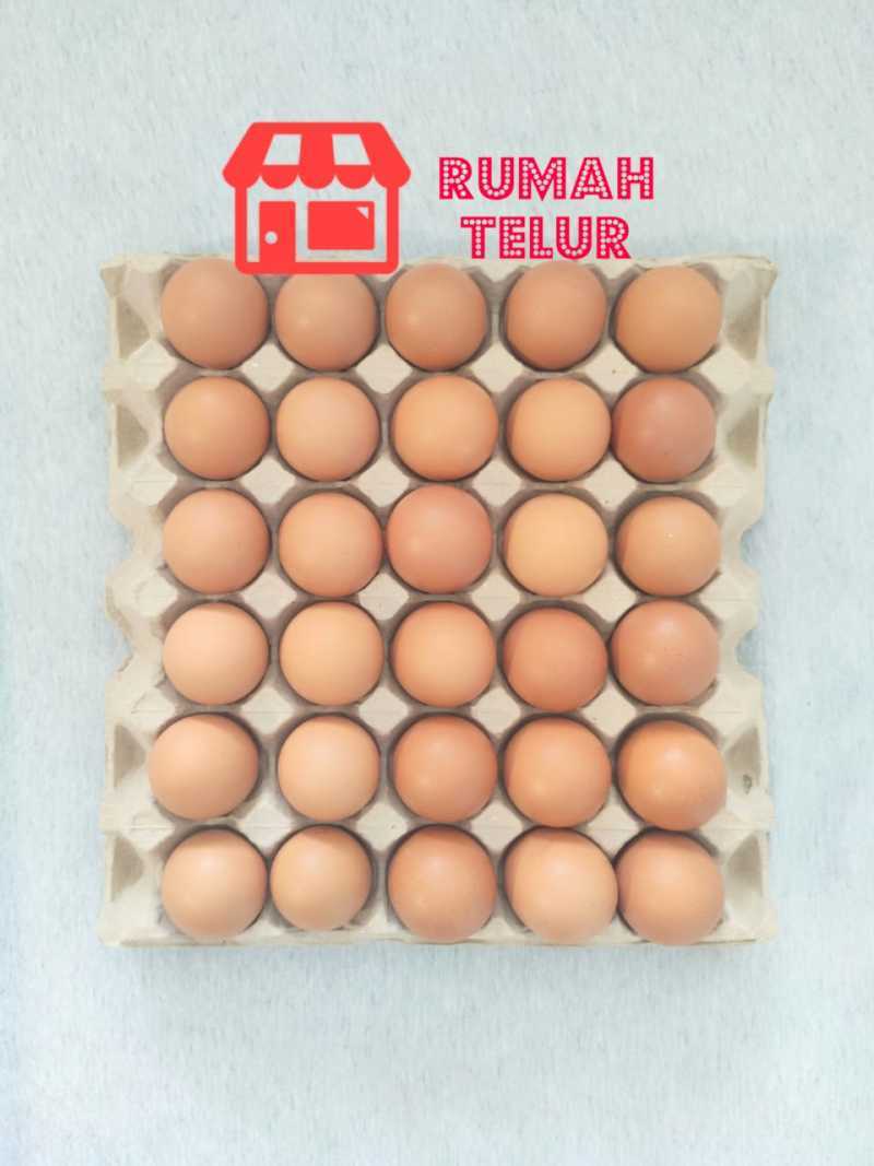 Jual Telur Tambun Telur Ayam Negeri Omega Perkilo Online September 2020 Blibli Com