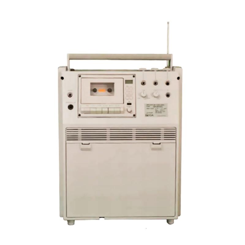 wireless sound system portable