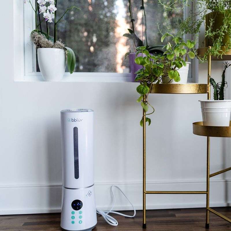 Mi ultrasonic humidifier on sale & air purifier