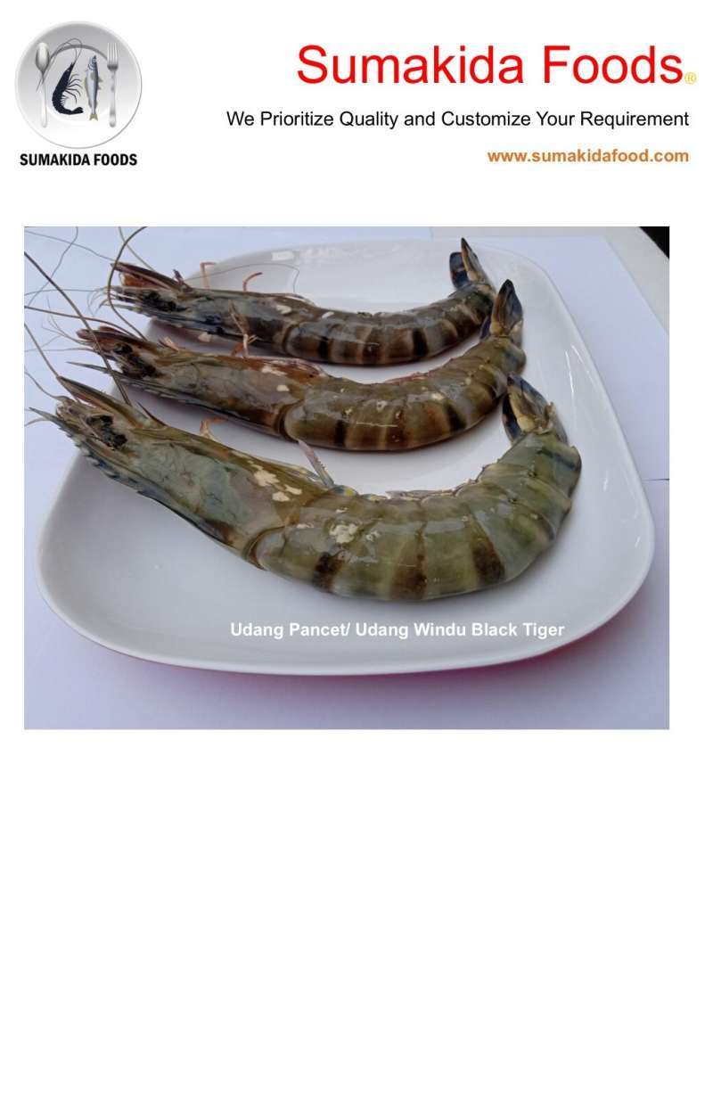 Manfaat udang windu