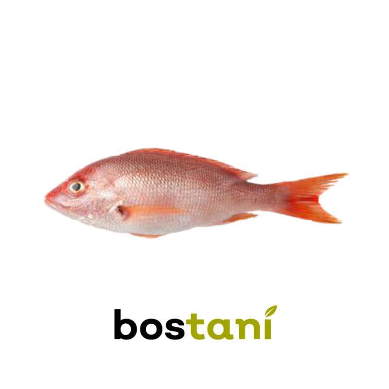 Get Ikan Nila PNG