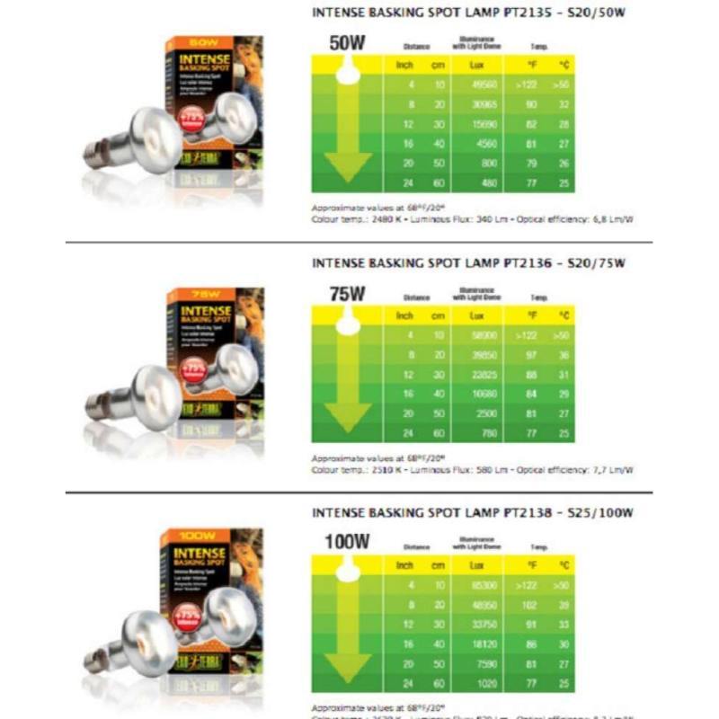 exo terra intense basking spot 100w