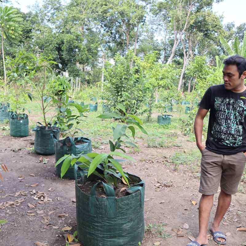 Jual Surya Guna Jual Planter Bag Ukuran 75 L Online Februari 2021 Blibli Planter bag adalah wadah atau tempat membudidayakan tanaman, yang fungsi sama dengan penggunaan pot plastik, pot kayu this is article about planter bag 100 liter kantong tanaman. surya guna jual planter bag ukuran 75 l