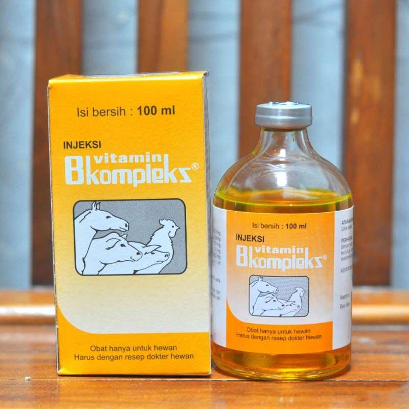 Jual Medion Vitamin B Komplek Injeksi Larutan 100 Ml Free Spuit Terbaru Juli 2021 