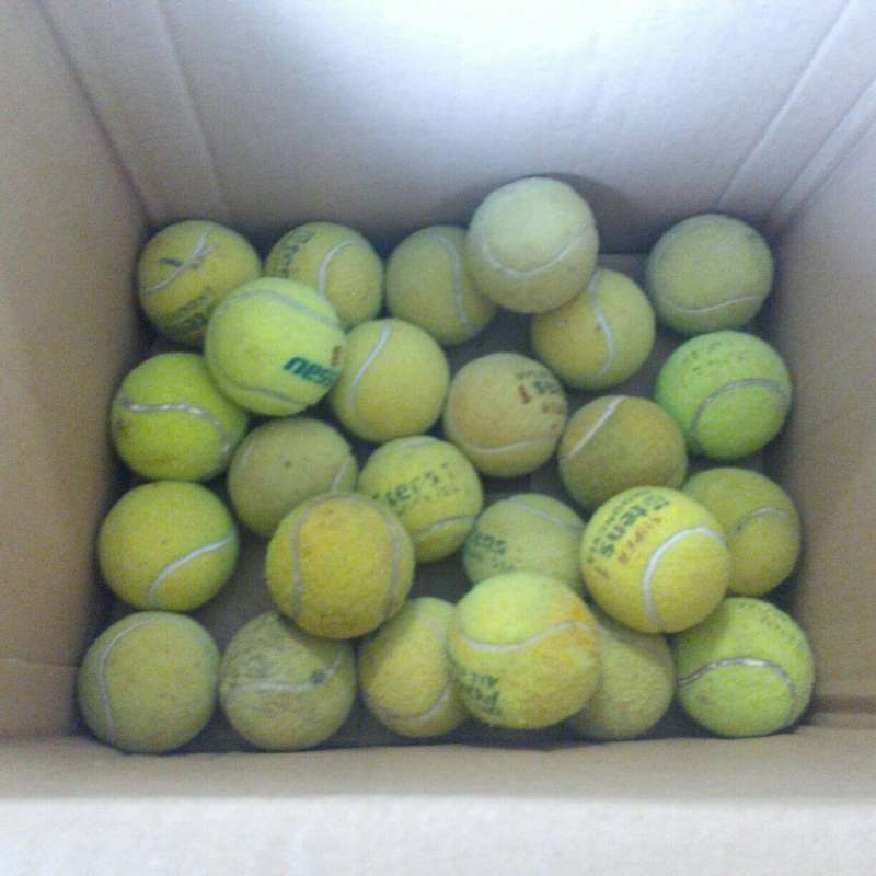 Jual Bola Tenis Bekas Berkualitas Online Desember 2020 Blibli