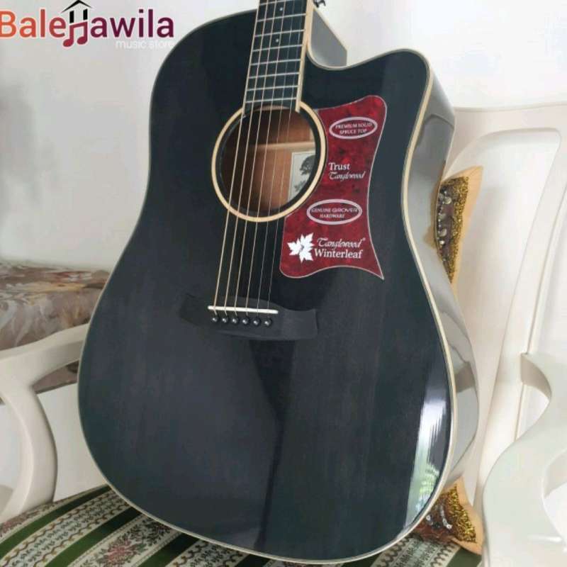 Tanglewood tw5 e bs store
