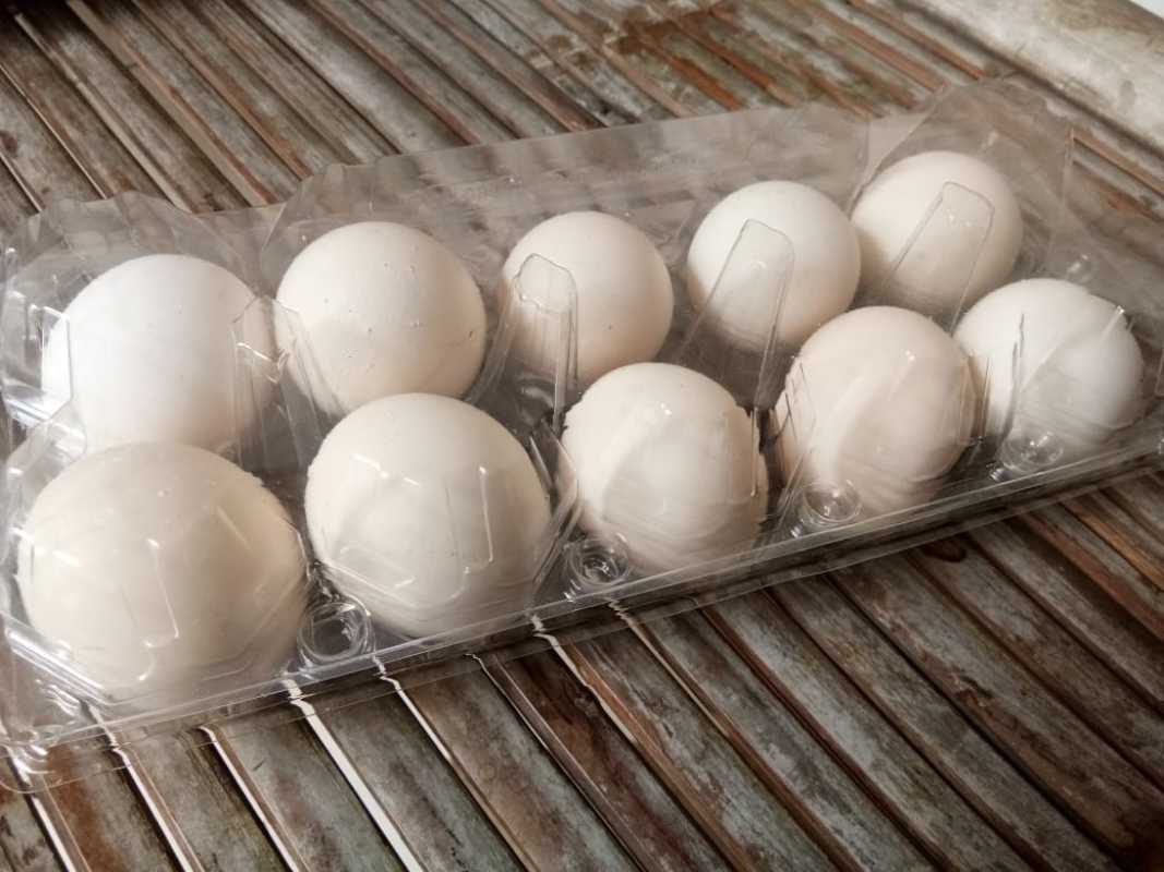 Harga telur ayam kampunģ 2021