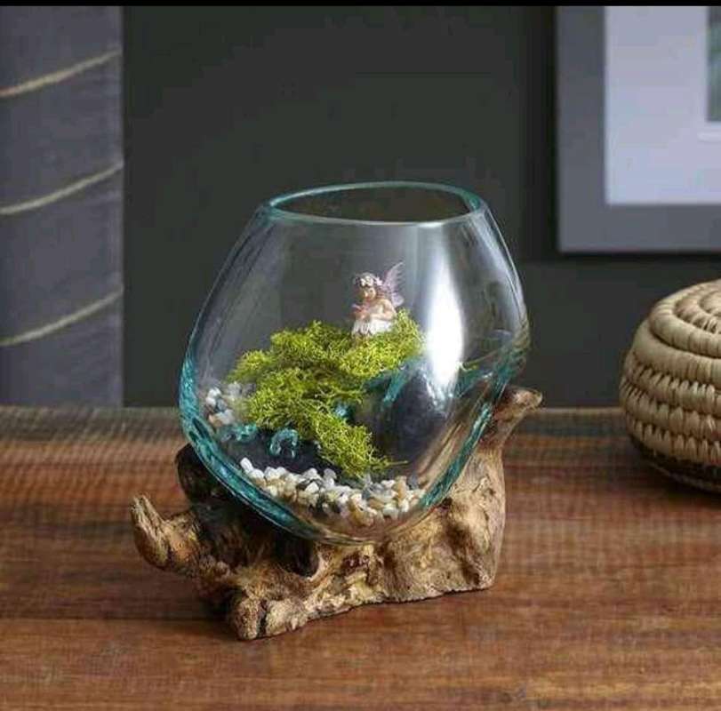 Jual Aquarium Akar Aquarium Cupang 12cm Online Mei 2021 Blibli