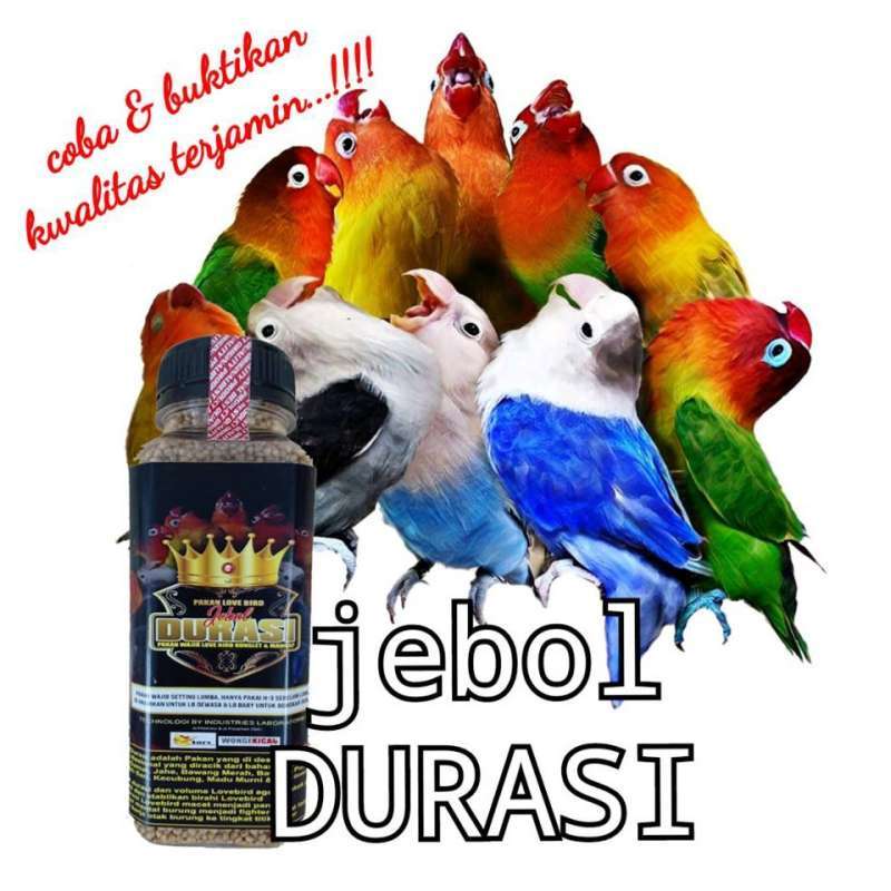 Jual Bird Maestro World Atlantik Bird Pakan Jebol Durasi Untuk Lovebird Pakan Burung Online Maret 2021 Blibli