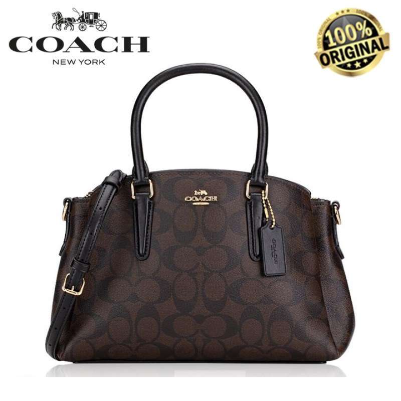 Mini sage on sale carryall coach