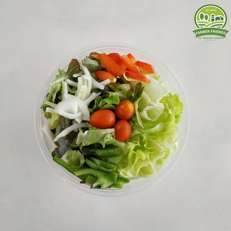 Sayur Farmer Friends - Mixed Onion Salad