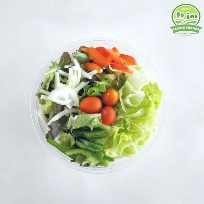 Sayur Farmer Friends - Mixed Onion Salad