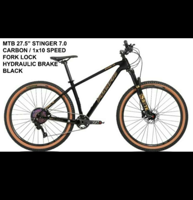 Pacific sales mtb carbon