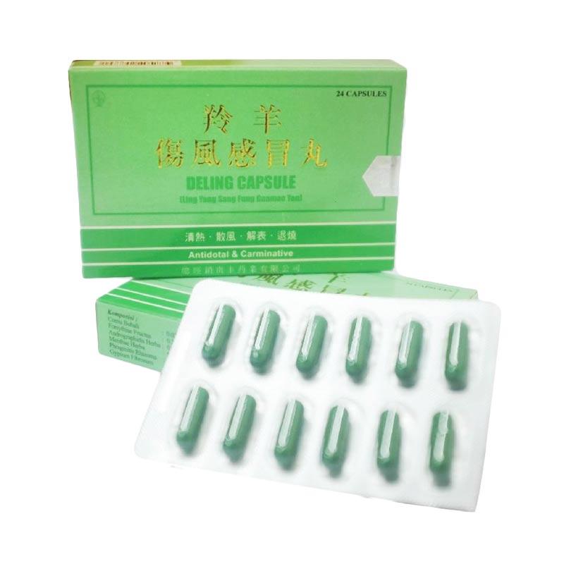 Jual Nan Fung Deling Obat Herbal Untuk Flu Dan Demam Kemasan Strip Murah Mei 2021 Blibli