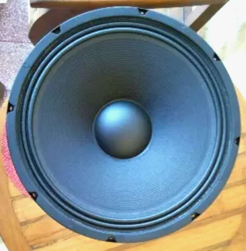 Speaker acr 15 inch woofer outlet