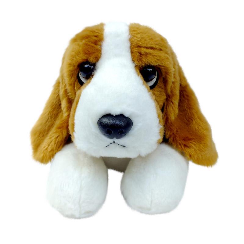 basset hound cute