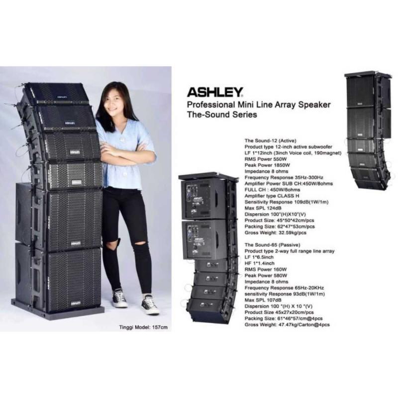 Promo mini line array ashley the sound 