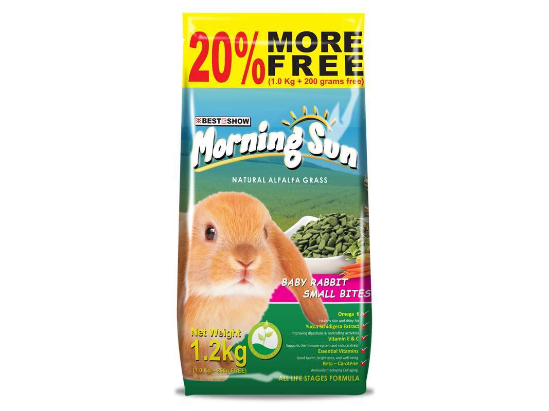 Morning Sun Baby Rabbit Small Bites