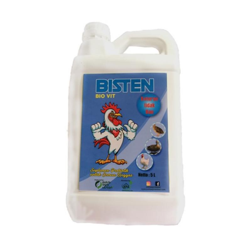 780 Koleksi Gambar Semua Unggas HD